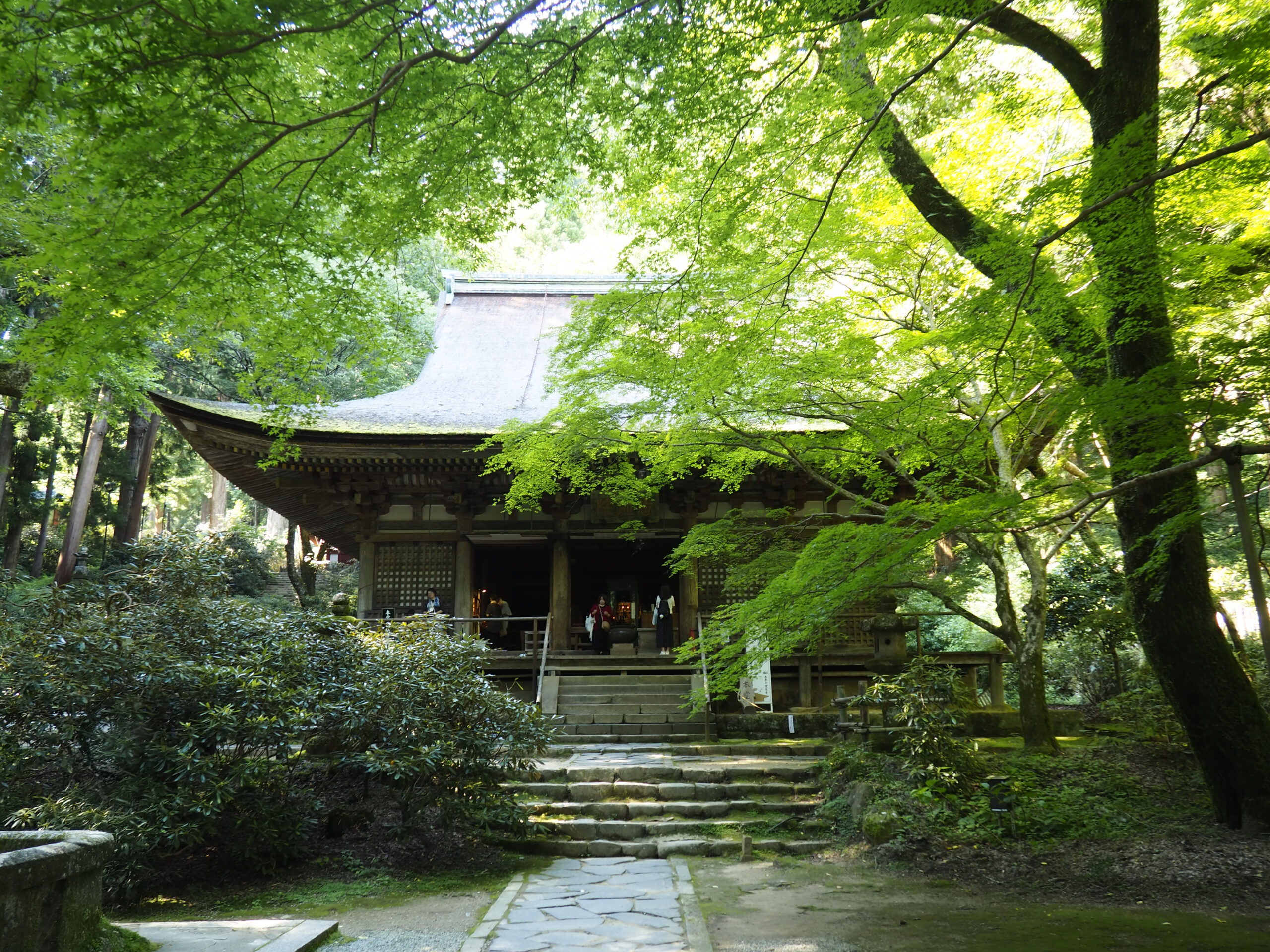 A Journey Through Nara’s National Treasure Buildings